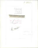 Animal Goat - Vintage Photograph