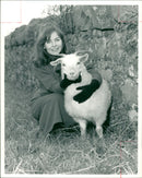 Animal Goat - Vintage Photograph