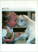 Animal Goat - Vintage Photograph