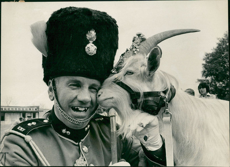 Animal Goat - Vintage Photograph