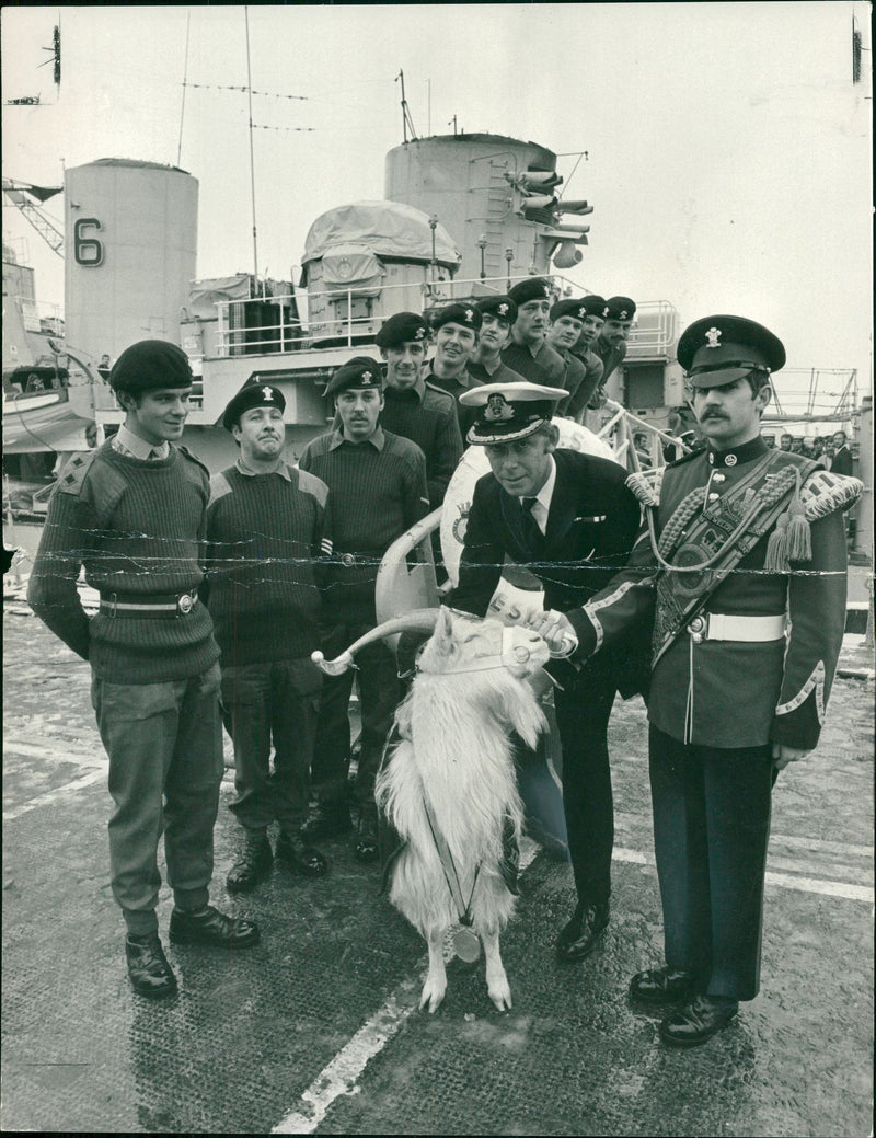 Animal Goat - Vintage Photograph