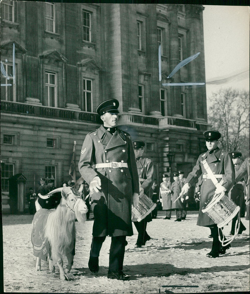 Animal Goat - Vintage Photograph