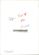 Animal Goat - Vintage Photograph