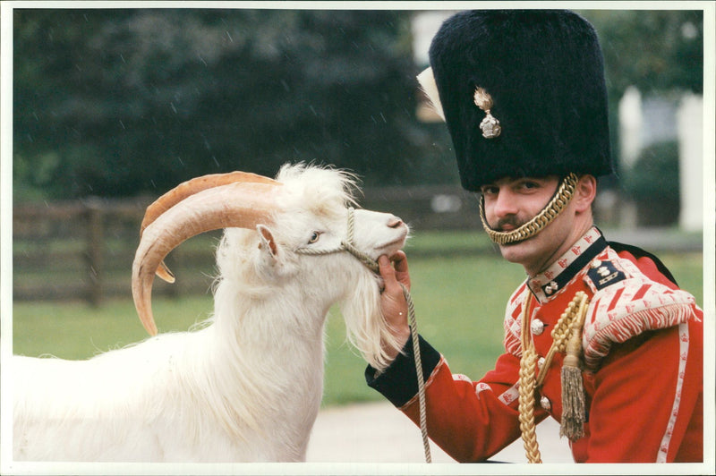 Animal Goat - Vintage Photograph