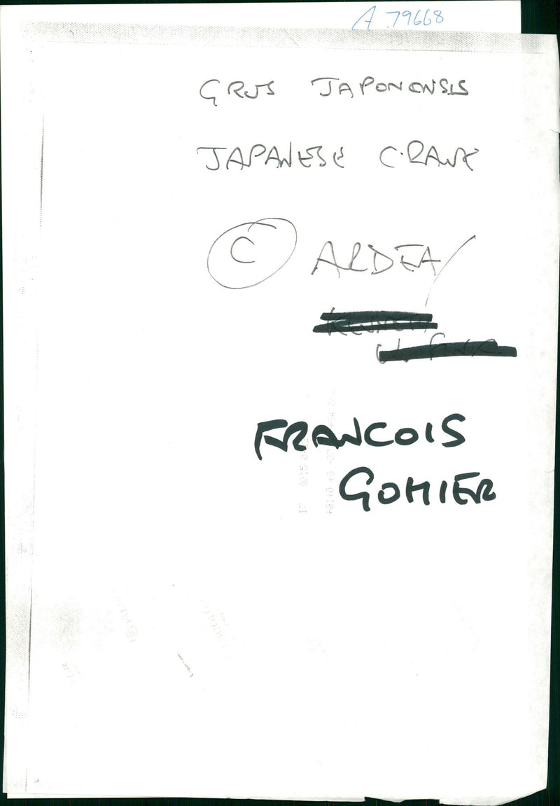 Crane Bird - Vintage Photograph