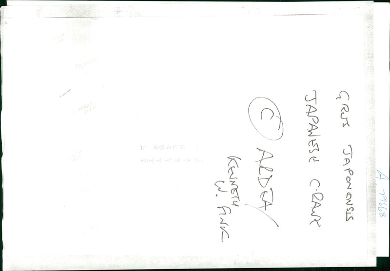 Crane Bird - Vintage Photograph