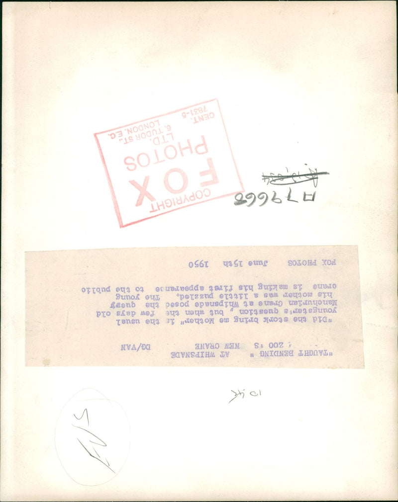 Crane Bird - Vintage Photograph