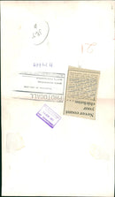 Crane Bird - Vintage Photograph