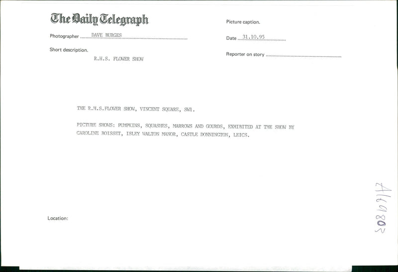 Pumpkin Squash - Vintage Photograph