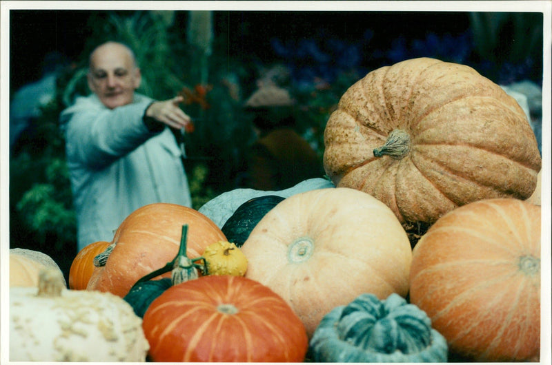 Pumpkin Squash - Vintage Photograph