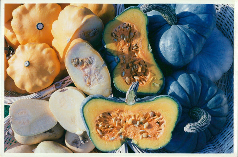 Pumpkin Squash - Vintage Photograph