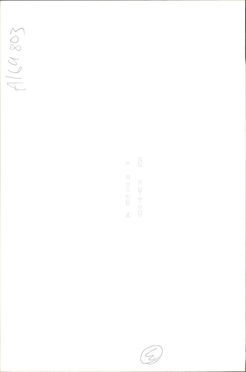 Pumpkin Squash - Vintage Photograph