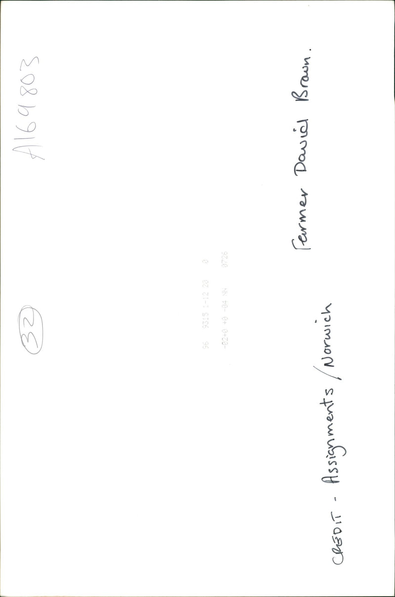 Pumpkin Squash - Vintage Photograph