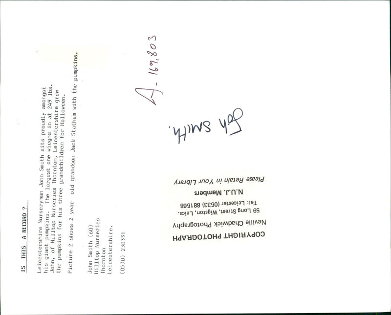 Pumpkin Squash - Vintage Photograph