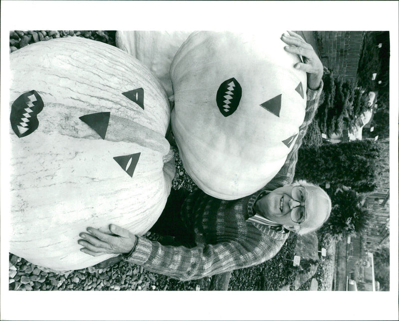 Pumpkin Squash - Vintage Photograph