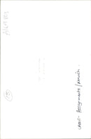 Pumpkin Squash - Vintage Photograph