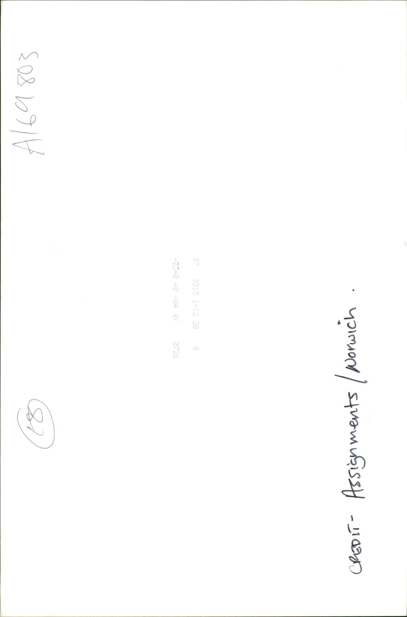 Pumpkin Squash - Vintage Photograph