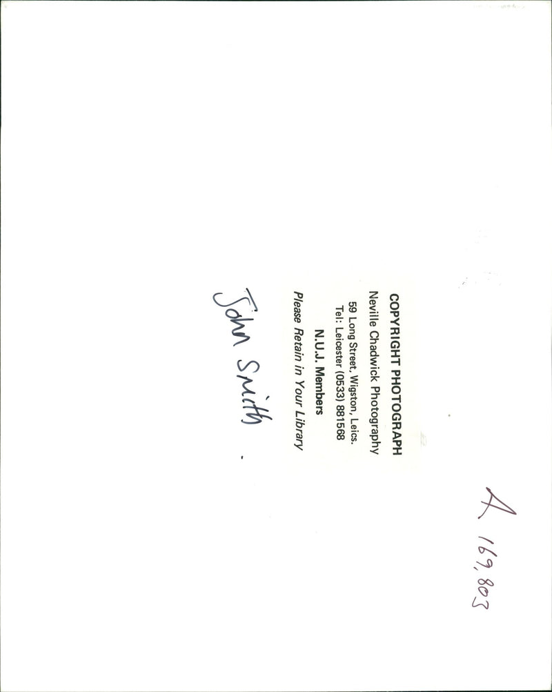 Pumpkin Squash - Vintage Photograph