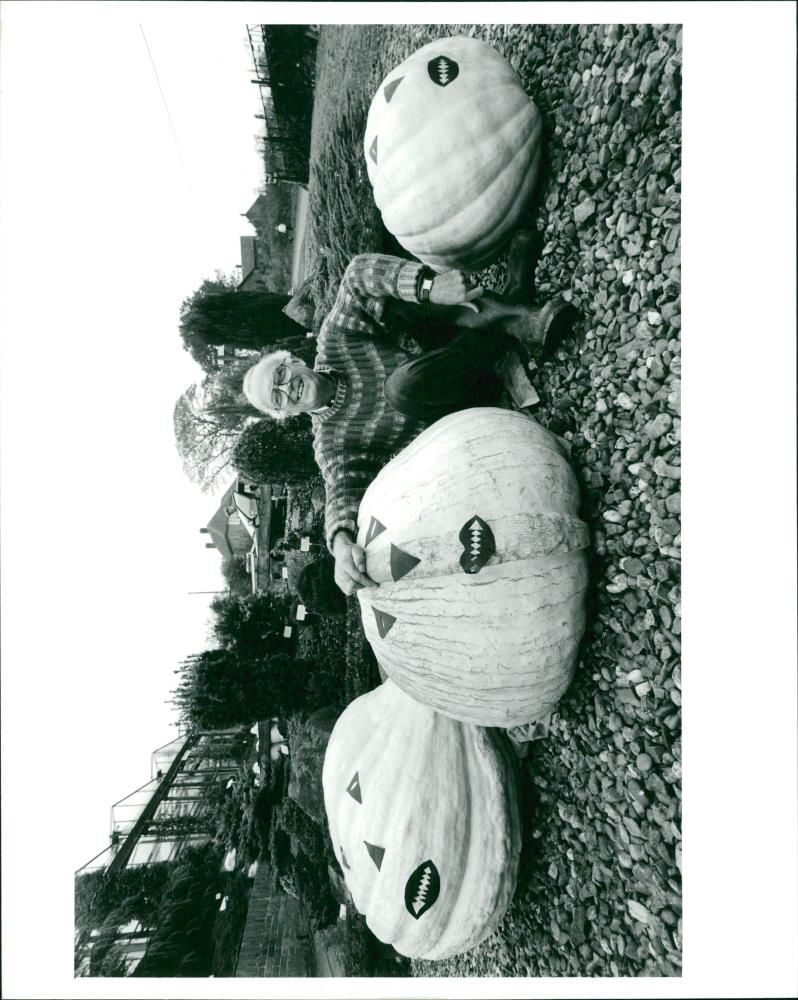Pumpkin Squash - Vintage Photograph