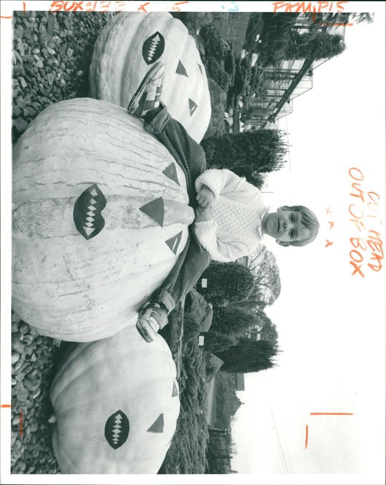 Pumpkin Squash - Vintage Photograph