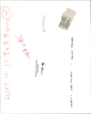 Pumpkin Squash - Vintage Photograph