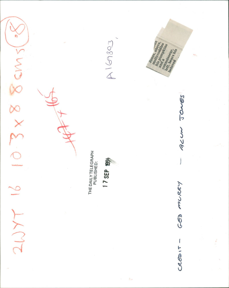 Pumpkin Squash - Vintage Photograph