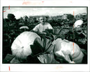 Pumpkin Squash - Vintage Photograph