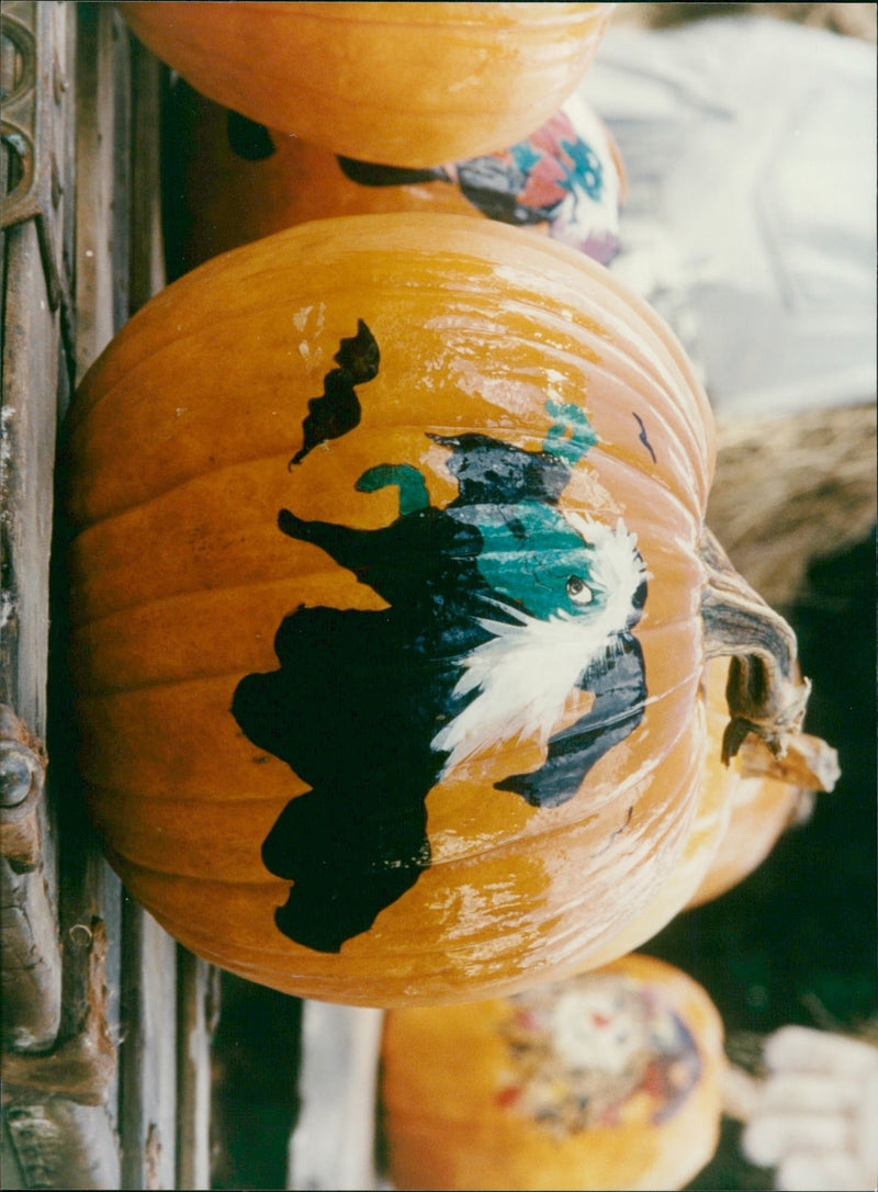 Pumpkin Squash - Vintage Photograph