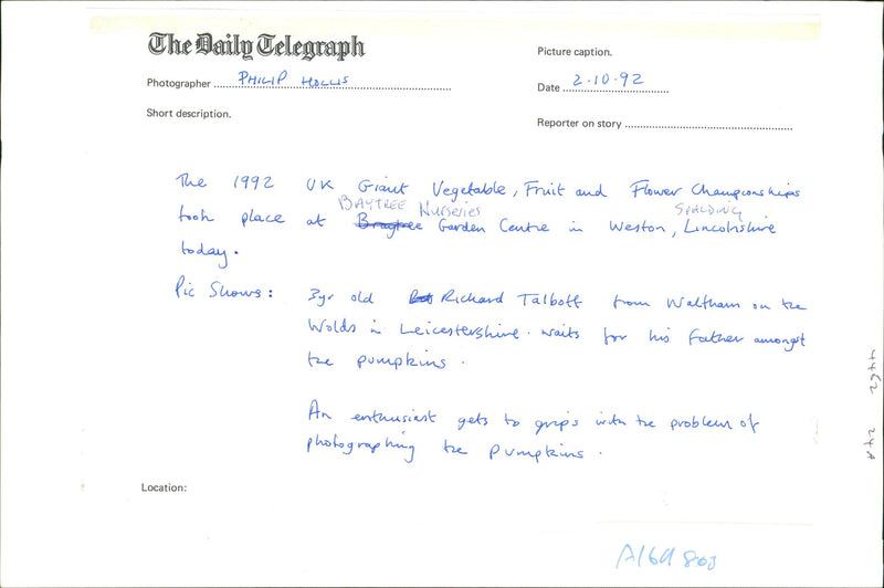 Pumpkin Squash - Vintage Photograph