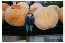 Pumpkin Squash - Vintage Photograph