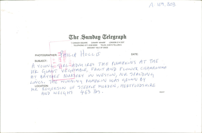 Pumpkin Squash - Vintage Photograph