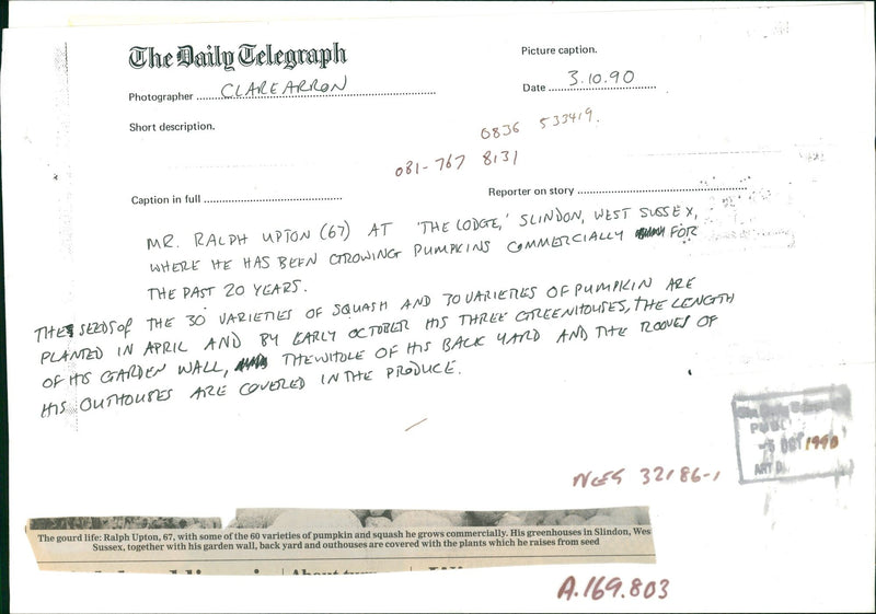 Pumpkin Squash - Vintage Photograph