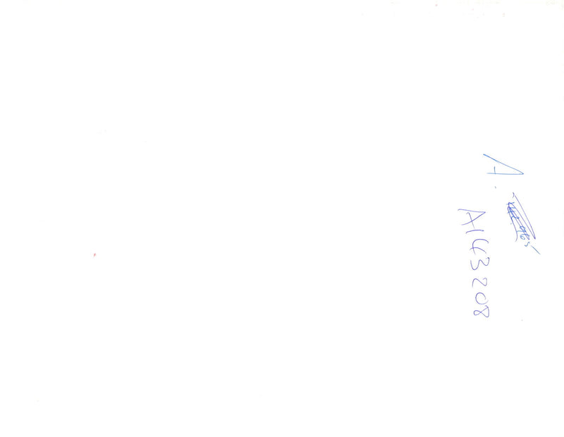 Resident calmly walks his two dogs near the balloon polar bear. - Vintage Photograph