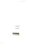 jimmy young - Vintage Photograph