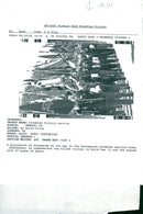 VJ day celebration - Vintage Photograph