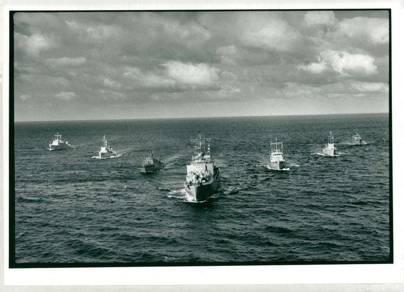 nato ships - Vintage Photograph