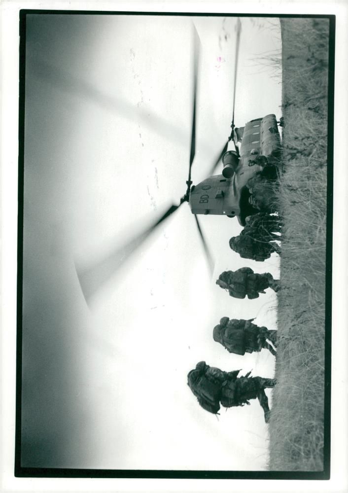 helicopters show their versatility for a nato. - Vintage Photograph