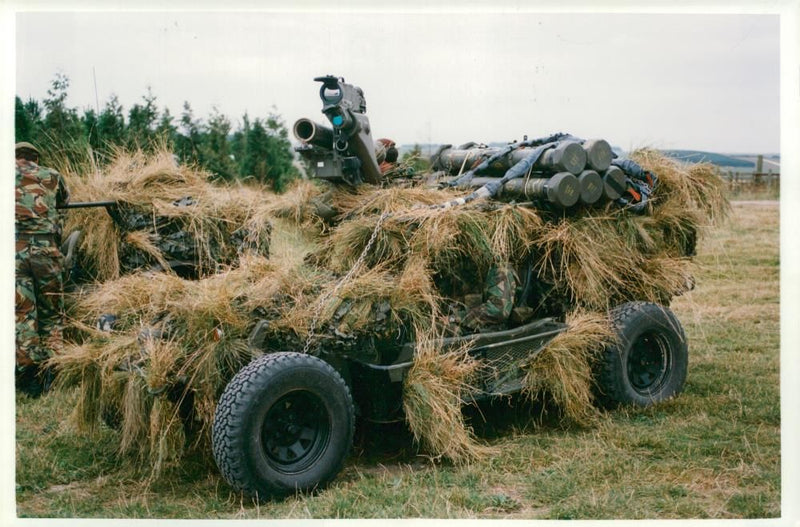 24 Airmobile brigade. - Vintage Photograph