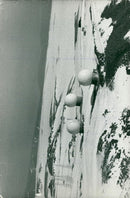 The largest electronics. - Vintage Photograph