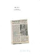 Judy, the Dog, Saved Afer 14 Days - Vintage Photograph