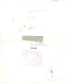 Giraffe - Vintage Photograph