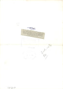 Giraffe - Vintage Photograph