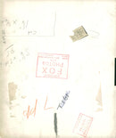 Giraffe - Vintage Photograph