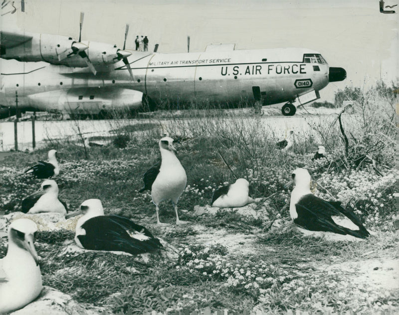 Douglas C-133 Cargomaster - Vintage Photograph