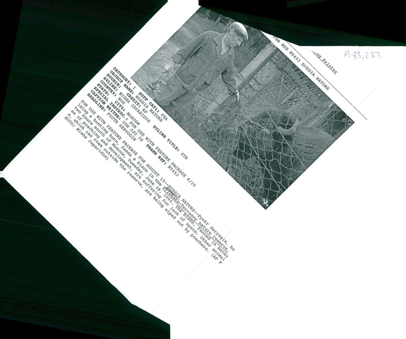 Russia nature pyotr seryogin. - Vintage Photograph