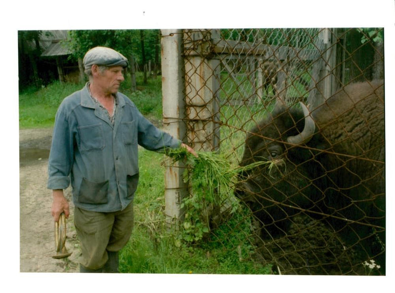 Russia nature pyotr seryogin. - Vintage Photograph