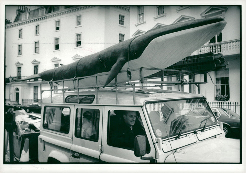 Greenpeace scaled model whale - Vintage Photograph