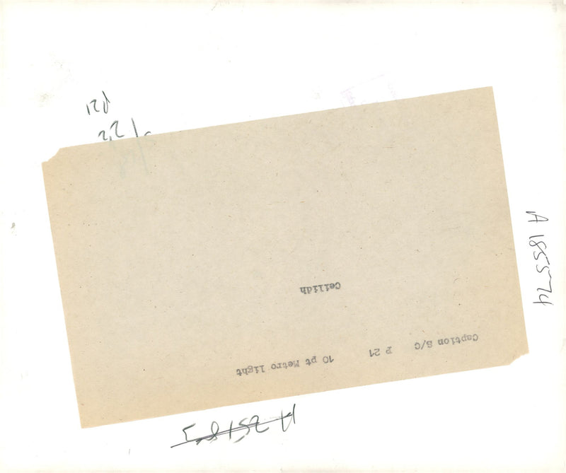 Dog. - Vintage Photograph