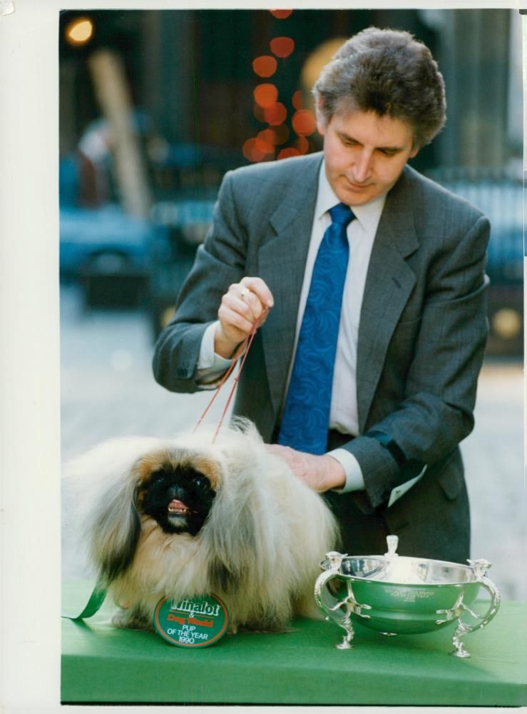 Mr davies with rodney after the prizegiving. - Vintage Photograph
