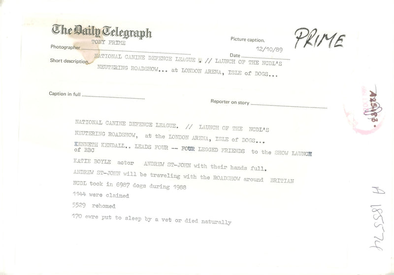 National canine defence league. - Vintage Photograph